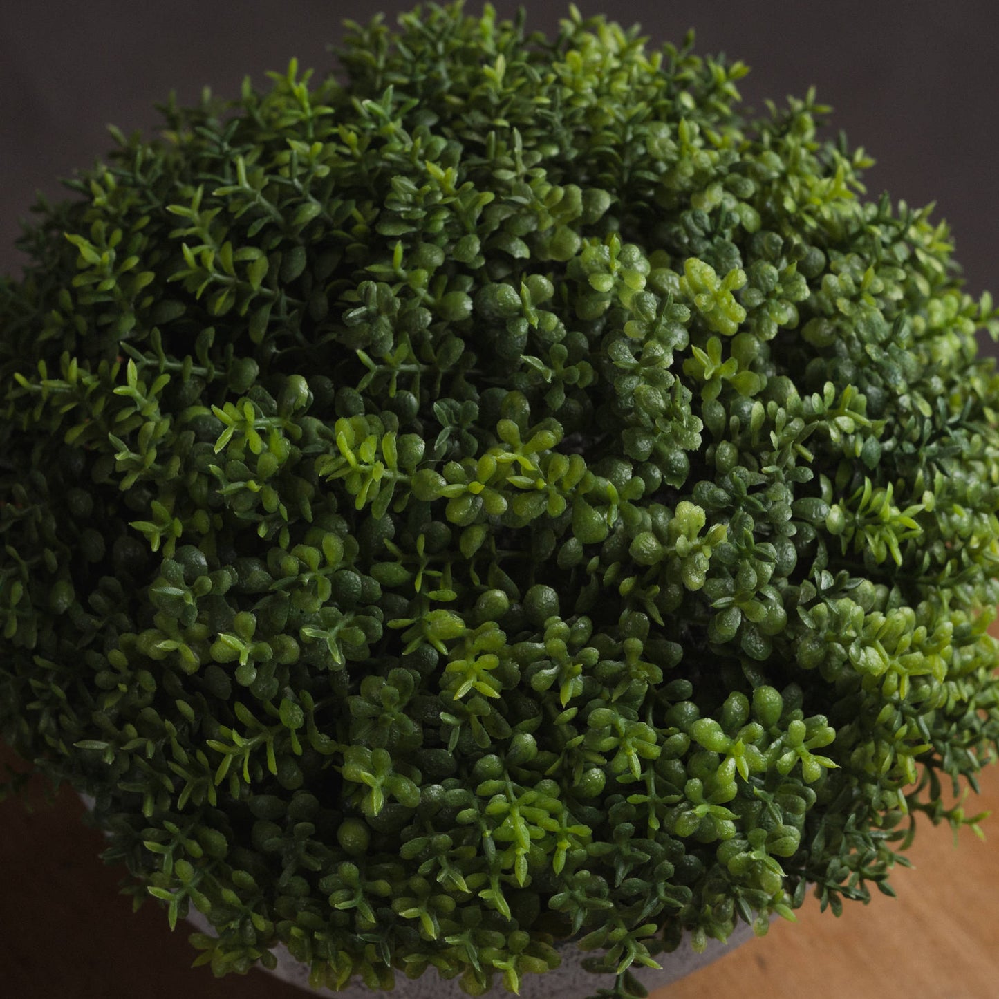 Small Hebe Globe Pot